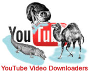 project youtube downloaders
