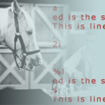 ed text editor and mr. ed