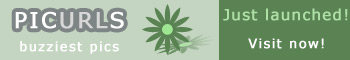 picurls - picture buzz, buzziest pics on the net