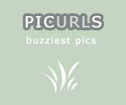 picurls, buzziest pics